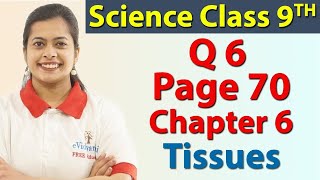 Q 6 Page 70  Chapter 6  Tissue  Science Class 9 [upl. by Scevor]