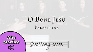 O Bone Jesu  Palestrina  Alto practice [upl. by Daphna]