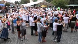 WochenKurier  FlashmobAnnemariePolka in Lübbenau [upl. by Leisam788]