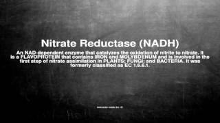 Medical vocabulary What does Nitrate Reductase NADH mean [upl. by Nimrac]