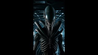 Xenomorph Evilution alien alienromulus alienisolation xenomorph rapidreview evilution [upl. by Blodgett]