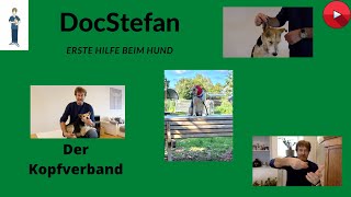 DocStefan Blog Video 12 Erste Hilfe beim Hund Der Kopfverband Eine interaktive Anleitung [upl. by Wight]