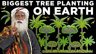 Sadhgurus Plan to plant 242 BILLION trees [upl. by Ylus714]