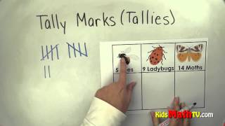 Counting with tally marks or tallies Kinder 1st 2nd grades math video [upl. by Alma]