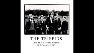 The Triffids  Live at The Tivoli Sydney 10031988 Part 1 [upl. by Fernando]