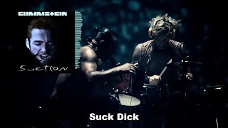 Rammstein  Buck Dich Right Version Gachi Remix Live from Paris [upl. by Eedebez]