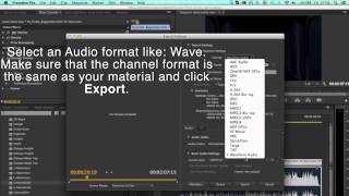 EBU R128 ATSC A85 Loudness Normalisation in Premier Pro [upl. by Ahsital373]