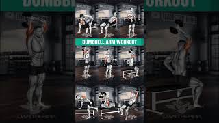 Dumbbell Arm Workout armworkout dumbbell danthehinh gym fitness workout shorts [upl. by Aleta402]