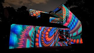 Luxedo Psychedelic Visuals House Projection [upl. by Anehta]