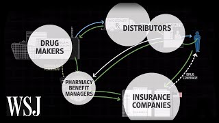 How Drug Prices Work  WSJ [upl. by Ahdar]