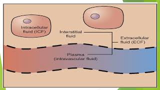 Lecture 2  Body fluid [upl. by Keverne544]