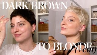 Dark Brown to Platinum Blonde Hair with ONE BLEACH ONLY   Cut [upl. by Yemorej735]