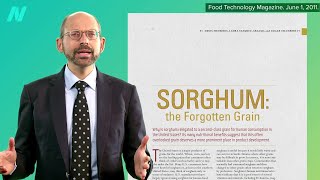 Is Sorghum a Healthy Grain [upl. by Haggerty]