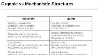 Mechanistic Vs Organic Organizational Structure [upl. by Eesac242]