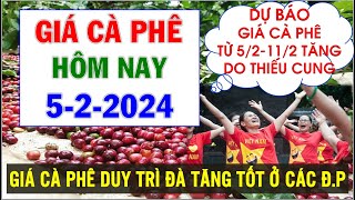 Giá cà phê hôm nay ngày 522024Giá cà phê dự báo tăng tốt do nguồn cung sụt giảm mạnh [upl. by Jerrie933]