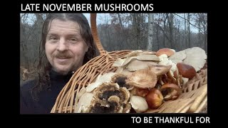 THANKSGIVING MUSHROOMS SIX WAYS [upl. by Faucher]