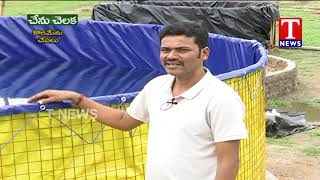 Koramenu Fish Farming by Naveen  Chenu Chelaka  TNews Telugu [upl. by Alfonse]