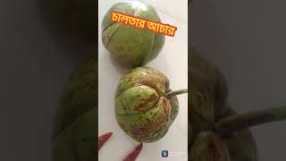 টক ঝাল মিষ্টি চালতার আচার রেসিপিchaltar achar recipe চালতার আচার রেসিপি 😋🍃chaltar acar shorts [upl. by Rosner]