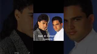 Saudade bandida Zezé di Camargo e Luciano sertanejo musicasertaneja zezédicamargoeluciano [upl. by Elocaj]