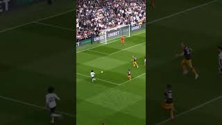 Harry Wilson ROCKET for Fulham 🚀 [upl. by Ajiram]