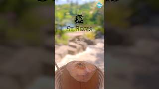 St Regis Resort South GoaMobor Beach Cavelossim shorts goa vacation [upl. by Leidba]