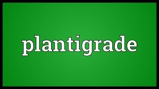 Plantigrade Meaning [upl. by Ajiat]