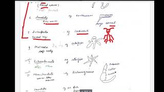 class 11 basis of classification [upl. by Bates946]