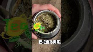 Yerba mate 🧉 green world energies powers football legends viral agriculture soccer organic tea [upl. by Xenos]