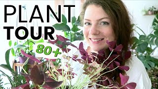 PLANT TOUR 2018  Ma collection complète de plantes dintérieur  Plantes vertes et orchidées [upl. by Pembroke522]