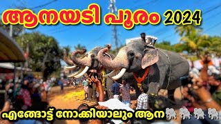 Aanayadi pooram 2024  കേരളത്തിലെ ഏറ്റവും കൂടുതൽ ആനകൾ പങ്കെടുക്കുന്ന പൂരം  ആനയടി പൂരം  Part 1 [upl. by Anwahsed342]