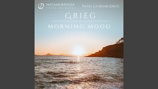 Peer Gynt Suite No 1 Op 46 Morning Mood [upl. by Joelie]