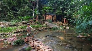 2 years living in forest build pond raise school of carp Harvesting amp catching fish after 1 year [upl. by Ilagam]