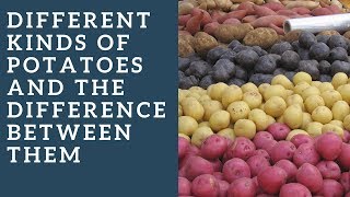 Different kinds of potatoes and the difference between them [upl. by Sallyanne902]