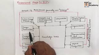 DIP3 Fundamental steps in Digital image processing  EC Academy [upl. by Dnalloh]