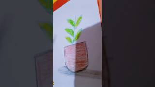 How to draw a port with plant ☘️🌵 art plants shorts 🎀 [upl. by Sualokcin]