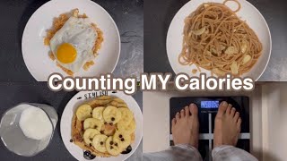 5344kg vlog  COUNTING MY CALORIES What I eat to Maintain my body weight [upl. by Alludba]