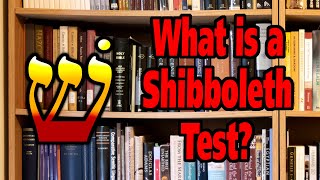 QA 17 What is a Shibboleth Test [upl. by Lehplar]