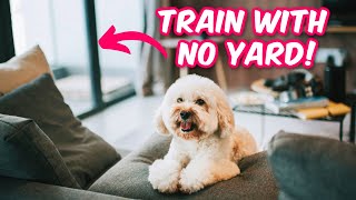 How to TRAIN Your Dog When Living in an Apartment [upl. by Enom696]