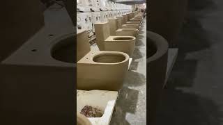 Factory daily new toilet siphonic design producing line toilet sanitarywares [upl. by Swiercz]