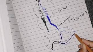 Corticospinal tracts  Desecending tracts Urdu Hindi 2020 neuroanatomy [upl. by Marian]