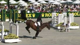 SOLD Misteur by Royal Feu 10 years old  Stallion [upl. by Itsa896]