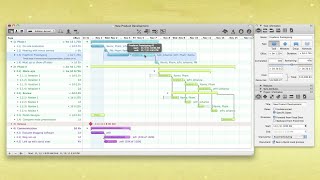 Split amp Hammock Tasks — OmniPlan 2 for Mac [upl. by Egap]