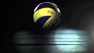 FIVB Heroes  2011 World League Finals [upl. by Kcarb460]