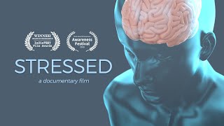 Stressed  A Documentary Film  4K OFFICIAL [upl. by Enaelem959]