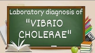 Vibrio cholerae Laboratory diagnosis of vibrio cholerae [upl. by Melody767]