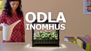 ODLA INOMHUS – Så gör du [upl. by Udelle418]