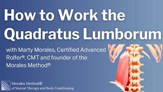 How to Work the Quadratus Lumborum [upl. by Ailil969]