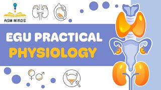 Physiology practical Urinary System [upl. by Ahsita621]