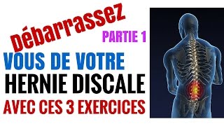 3 exercices Pour Soigner Une Hernie Discale  Partie 1 [upl. by Charleen187]