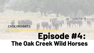 CASE The Oak Creek Wild Horses [upl. by Gusti221]